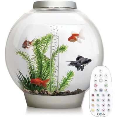 BiOrb Classic 30L - Silver - MCR LED Lighting - Aquarium BiOrb Classic 30L - Silver - MCR LED Lighting - Aquarium
