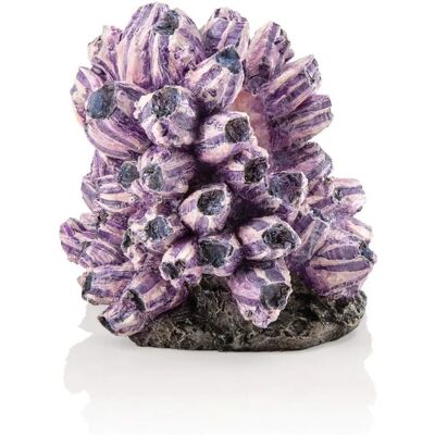 biOrb Model 48359 Ornamental Tendril Grape - Ornamental Product biOrb Model 48359 Ornamental Tendril Grape - Ornamental Product