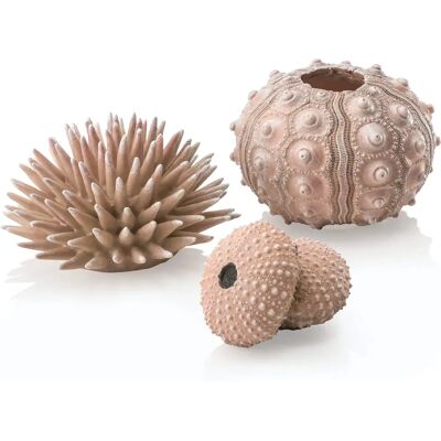 biOrb Sea Urchins Natural Aquarium Decor - 48366 biOrb Sea Urchins Natural Aquarium Decor - 48366