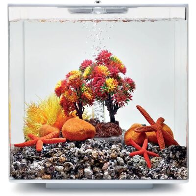 biOrb Autumn Decor Set 15L - Aquarium Decoration biOrb Autumn Decor Set 15L - Aquarium Decoration