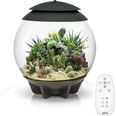 Biorb Oasis air 30 szürke - Terrárium - Akril, LED, Automata Biorb Oasis air 30 szürke - Terrárium - Akril, LED, Automata