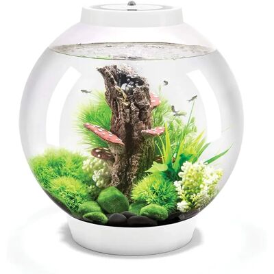 biOrb Classic 30 MCR - Aquarium - Wit biOrb Classic 30 MCR - Aquarium - Wit