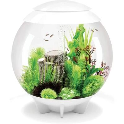 biOrb HALO 60 MCR - White biOrb HALO 60 MCR - White