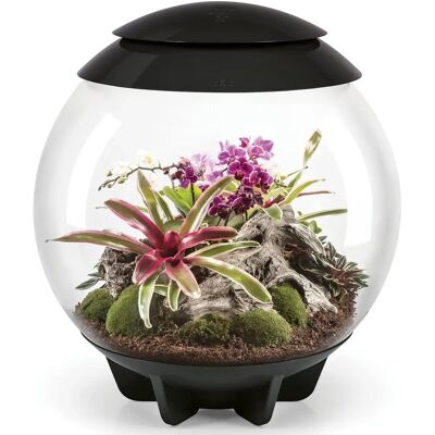 BiOrb AIR 60 Mikroklíma terrárium - Fekete BiOrb AIR 60 Mikroklíma terrárium - Fekete
