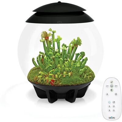 biOrb AIR 30 Black 30L Acrylic Terrarium with LED Lighting Ultrasonic Mister - Terrarium biOrb AIR 30 Black 30L Acrylic Terrarium with LED Lighting Ultrasonic Mister - Terrarium