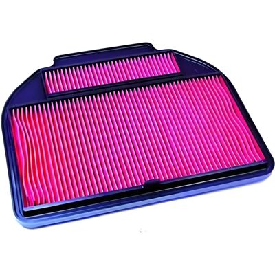 Filtro aria Hiflofiltro Honda VFR750F - 260mm - Unisex Filtro aria Hiflofiltro Honda VFR750F - 260mm - Unisex