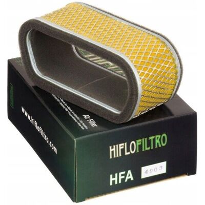 Filtro aria Hiflofiltro Yamaha XS1100 Hfa4903 - Unisex - Alta performance Filtro aria Hiflofiltro Yamaha XS1100 Hfa4903 - Unisex - Alta performance