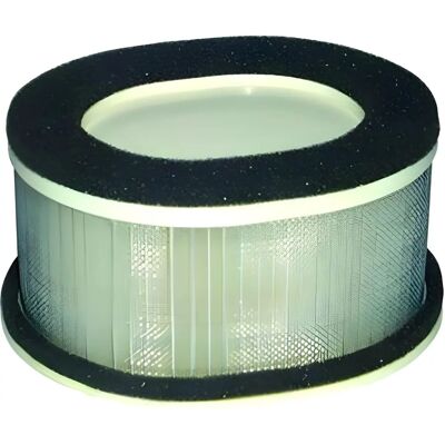 Filtro de aire Yamaha FZS1000 Fazer - Hiflofiltro Hfa4911 Filtro de aire Yamaha FZS1000 Fazer - Hiflofiltro Hfa4911