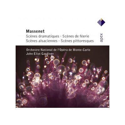 Warner Music John Eliot Gardiner - Massenet: Szenen, Le dernier sommeil de la Vierge & Don Quichotte - Musik-CD Warner Music John Eliot Gardiner - Massenet: Szenen, Le dernier sommeil de la Vierge & Don Quichotte - Musik-CD