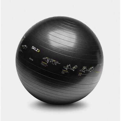 SKLZ Trainer Ball - Gymnastiekbal 65cm - Kernkracht SKLZ Trainer Ball - Gymnastiekbal 65cm - Kernkracht
