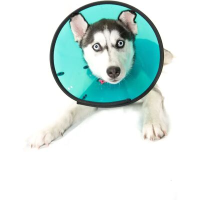 The Company Of Animals Elizabethan Cone Smart Collar Size 2 - Smart Collar The Company Of Animals Elizabethan Cone Smart Collar Size 2 - Smart Collar