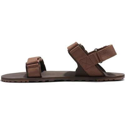 Xero Shoes D-Trail Marrón - Sandalias Xero Shoes D-Trail Marrón - Sandalias