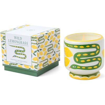 Candela profumata Paddywax A Dopo Snake Lemongrass - Candela profumata Candela profumata Paddywax A Dopo Snake Lemongrass - Candela profumata