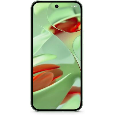 Google Pixel 9 - 256 Go Vert Hiver - Publicité Google Pixel 9 - 256 Go Vert Hiver - Publicité
