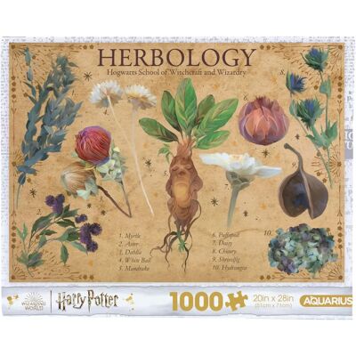 Harry Potter HP Hogwarts School of Witchcraft and Wizardry Puzzle - 1000pc Harry Potter HP Hogwarts School of Witchcraft and Wizardry Puzzle - 1000pc