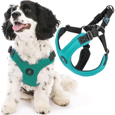 Gooby Turquoise Sport Dog Harness - Small Gooby Turquoise Sport Dog Harness - Small