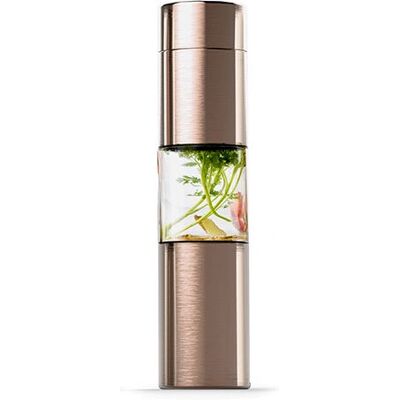 Asobu Flavor U See Gold - 430ml Stainless Steel Water Bottle Asobu Flavor U See Gold - 430ml Stainless Steel Water Bottle