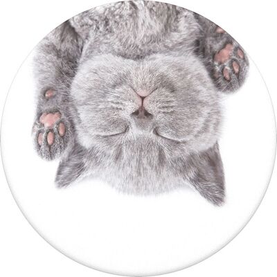 PopSockets PopGrip Vit Katt Nap - Passiv Hållare för Telefoner & Tablets PopSockets PopGrip Vit Katt Nap - Passiv Hållare för Telefoner & Tablets