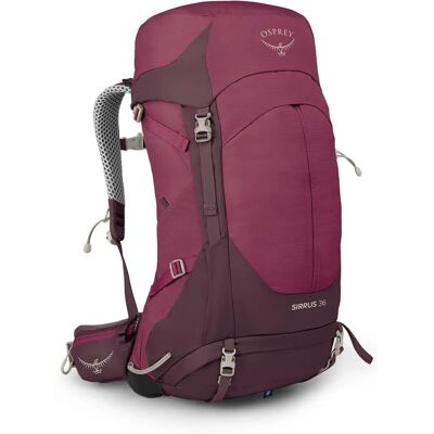 Osprey Sirrus 36 Elderberry Purple - Plecak turystyczny Osprey Sirrus 36 Elderberry Purple - Plecak turystyczny