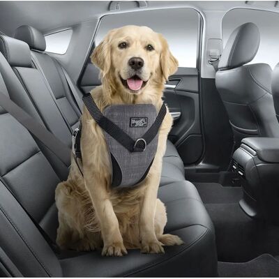 Simply Wholesale 2-i-1 Hundegeschirr - Medium Simply Wholesale 2-i-1 Hundegeschirr - Medium