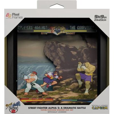 Sony Pixel Frames Street Fighter Alpha 2 - Videospiel-Kunstrahmen Sony Pixel Frames Street Fighter Alpha 2 - Videospiel-Kunstrahmen