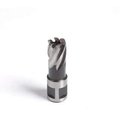 Evolution Power Tools Evolution HT14s Fresatrice breve - Fresatrice Evolution Power Tools Evolution HT14s Fresatrice breve - Fresatrice