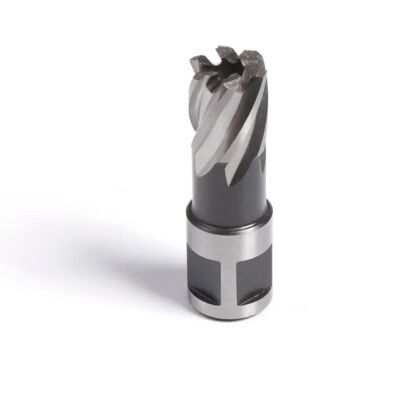 Evolution Power Tools HT22s Tagliabroccia Corto - Utensili Elettrici Evolution Power Tools HT22s Tagliabroccia Corto - Utensili Elettrici