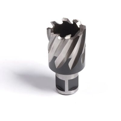 Evolution Power Tools 28S Kurzer Fräser - Broaching Cutter Evolution Power Tools 28S Kurzer Fräser - Broaching Cutter