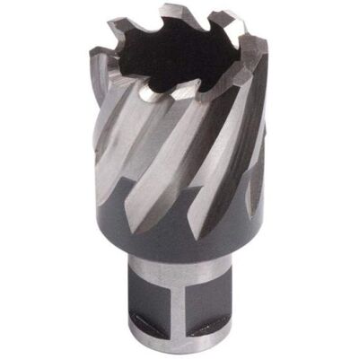 Evolution Power Tools 32L Langer Broaching Cutter - Broaching Cutter Evolution Power Tools 32L Langer Broaching Cutter - Broaching Cutter