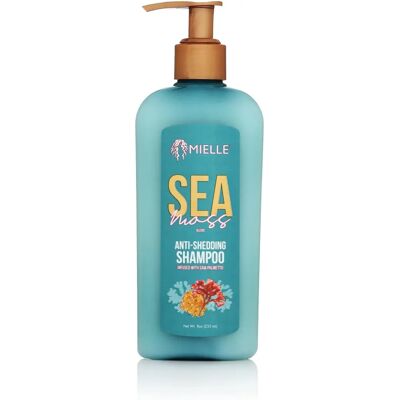 Mielle Sea Moss Anti Shedding Shampoo - Hair Care Mielle Sea Moss Anti Shedding Shampoo - Hair Care