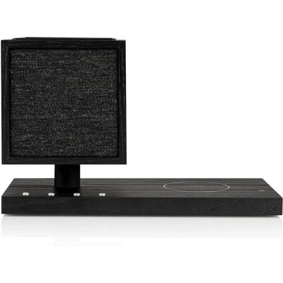 Tivoli Audio Revive - Enceinte Bluetooth portable avec lumière LED - Noir - Publicité Tivoli Audio Revive - Enceinte Bluetooth portable avec lumière LED - Noir - Publicité