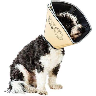 Collier de protection All Four Paws - Taille M - 30cm - Marron - Publicité Collier de protection All Four Paws - Taille M - 30cm - Marron - Publicité