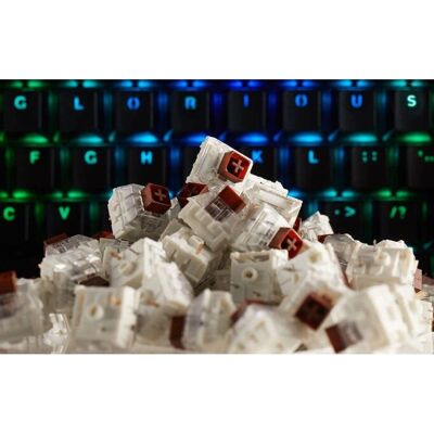 Glorious Kailh Braune Schalter - Tastenschalter für Gaming und Tippen Glorious Kailh Braune Schalter - Tastenschalter für Gaming und Tippen