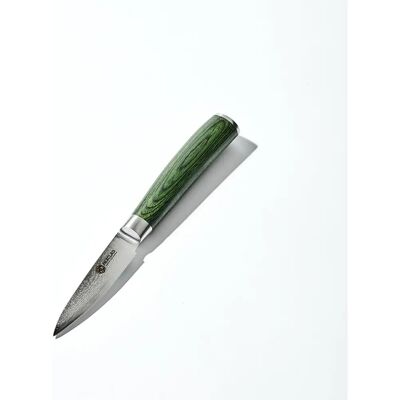 Hexclad Grønn Grønnsakskniv Damask, 9cm - Grønnsakskniv Hexclad Grønn Grønnsakskniv Damask, 9cm - Grønnsakskniv
