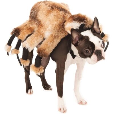 Costume de Spider Géant Moyen pour Animaux Costume de Spider Géant Moyen pour Animaux