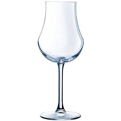 Verre à vin transparent Chef&Sommelier Open Up Ambient - 16 cl - Publicité Verre à vin transparent Chef&Sommelier Open Up Ambient - 16 cl - Publicité