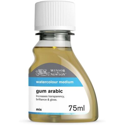 Winsor & Newton Modèle 3021763 Médium pour Peinture Hobby - Type de Peinture Winsor & Newton Modèle 3021763 Médium pour Peinture Hobby - Type de Peinture