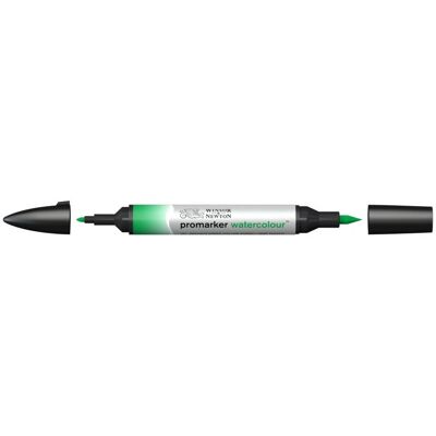 Marqueurs aquarelle verts Winsor & Newton - Marqueurs aquarelle Marqueurs aquarelle verts Winsor & Newton - Marqueurs aquarelle