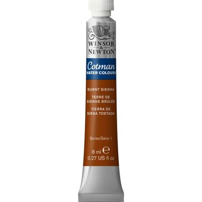 Peinture aquarelle Cotman de Winsor & Newton - Sienne Brûlée Peinture aquarelle Cotman de Winsor & Newton - Sienne Brûlée