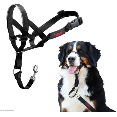 Halti Dog Head Collar Size 4 - Dog Training & Control Halti Dog Head Collar Size 4 - Dog Training & Control