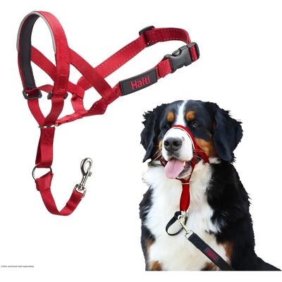 Halti Dog Headcollar Size 4 - Dog Training Aids Halti Dog Headcollar Size 4 - Dog Training Aids