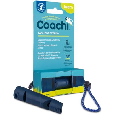 Flet Coachi Navy dwutonowa - Szkolenie, Pies Flet Coachi Navy dwutonowa - Szkolenie, Pies
