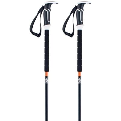 BCA Scepter Fixed Bastoni da Sci BCA Scepter Fixed Bastoni da Sci
