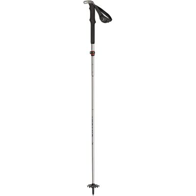 Atomic BCT Mountaineering SQS Plata/Gris - Bastón de esquí de travesía Atomic BCT Mountaineering SQS Plata/Gris - Bastón de esquí de travesía