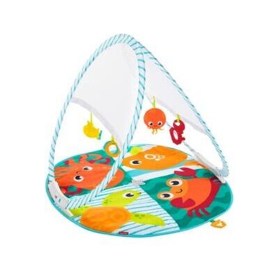 Fisher-Price FXC15 Baby Gym - Buntfarbenes Spielmatte Fisher-Price FXC15 Baby Gym - Buntfarbenes Spielmatte