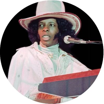 Sly Stone Family Affair - Vinyle LP - Album de Musique Sly Stone Family Affair - Vinyle LP - Album de Musique
