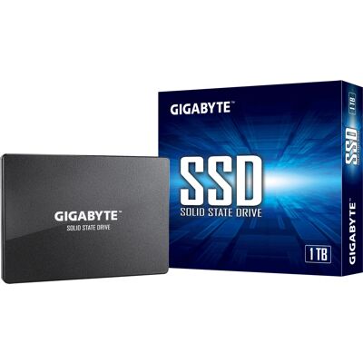 Gigabyte GP-GSTFS31100TNTD 1TB SSD - Serial ATA Gigabyte GP-GSTFS31100TNTD 1TB SSD - Serial ATA