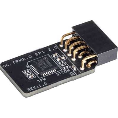 Gigabyte GC-TPM2.0 SPI 2.0 Modulo di piattaforma affidabile - Modulo di piattaforma affidabile Gigabyte GC-TPM2.0 SPI 2.0 Modulo di piattaforma affidabile - Modulo di piattaforma affidabile