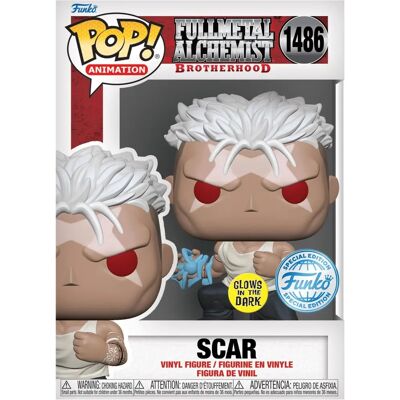 Funko Pop! Full Metal Alchemist: Brotherhood Scar Glow nel Buio - Figura d'Azione Funko Pop! Full Metal Alchemist: Brotherhood Scar Glow nel Buio - Figura d'Azione
