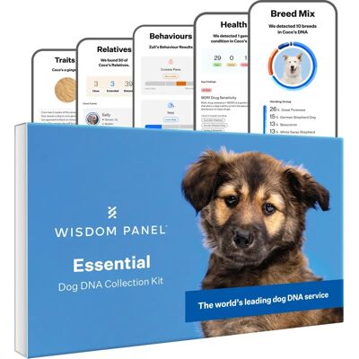 Wisdom Panel Essential Hund DNA-test - Ras & Ancestry Wisdom Panel Essential Hund DNA-test - Ras & Ancestry